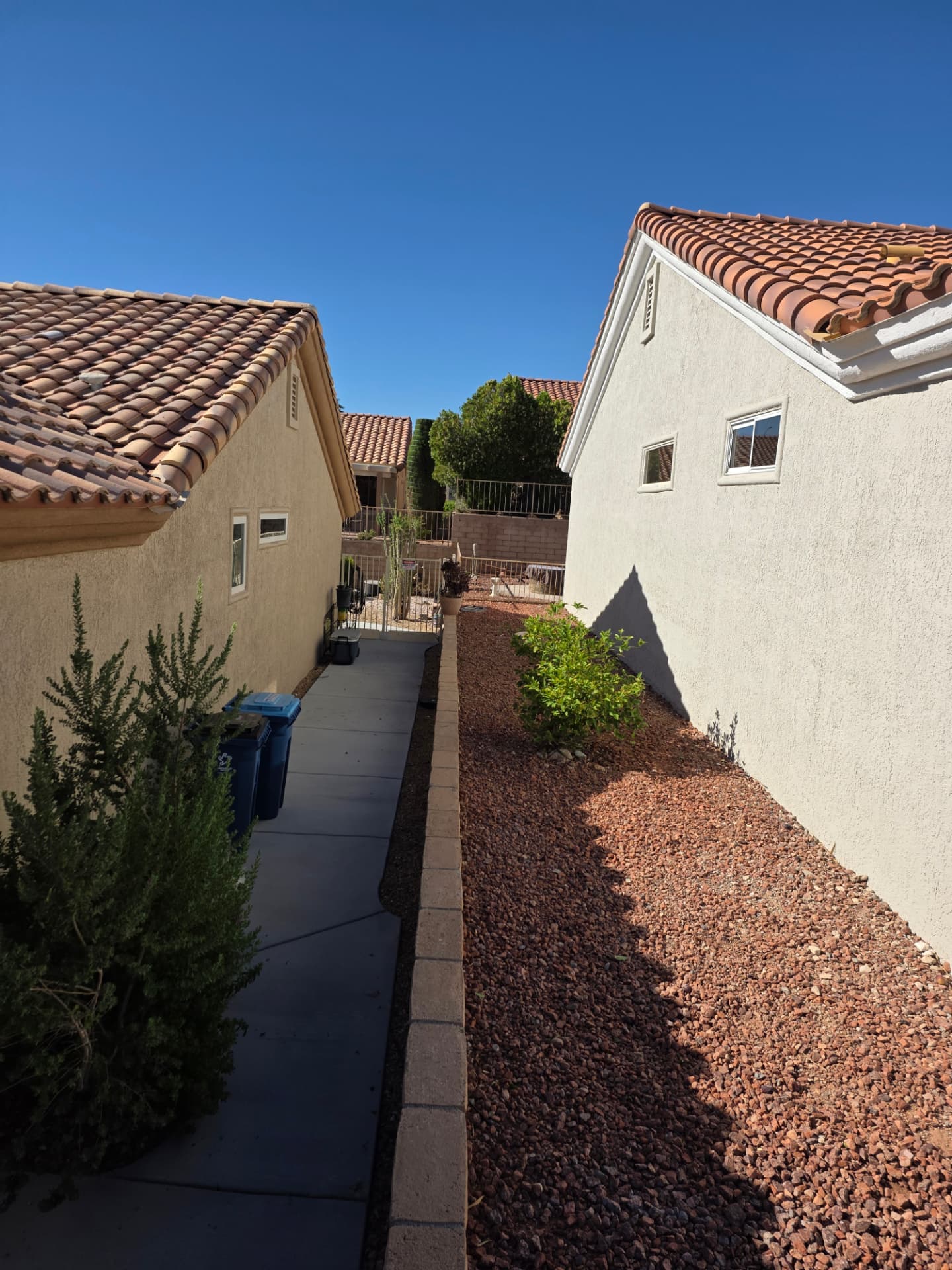 The same side yard cleared and swept after the tree was removed